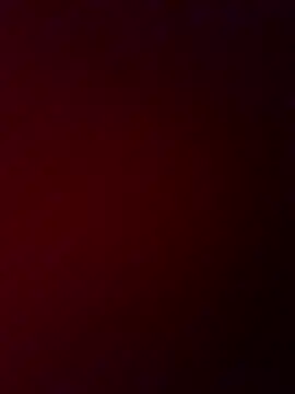 DarkfleX webcam