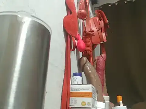 30cmMONSTERCOCKnBIGLOAD4u webcam
