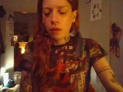 plsmecha webcam