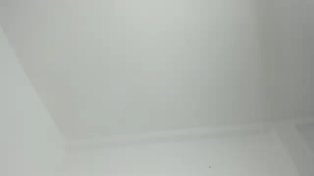 Ebony_danik webcam