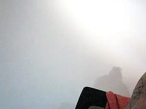 AlvinFoxx webcam