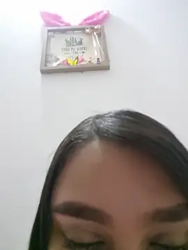 lanasin_