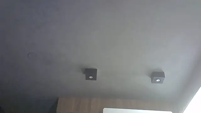 SkinnyKitten webcam