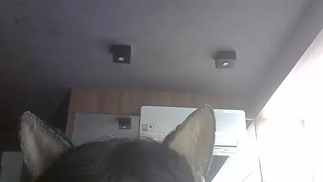 SkinnyKitten webcam