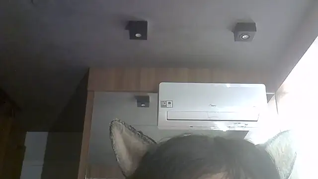 SkinnyKitten webcam