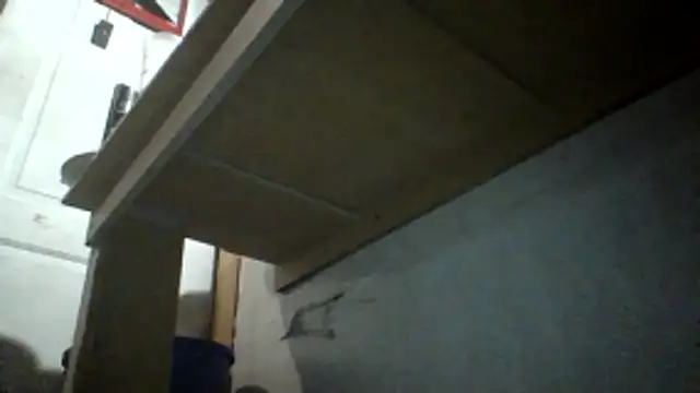 oglong webcam