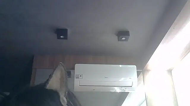 SkinnyKitten webcam