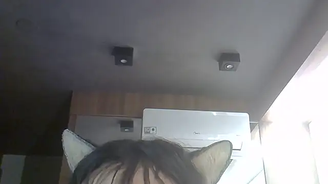 SkinnyKitten webcam