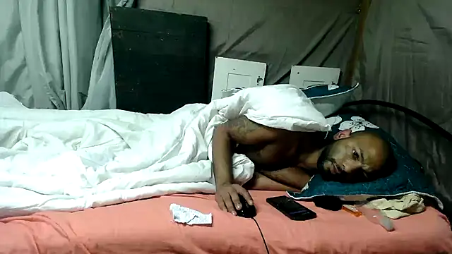 Camodick webcam