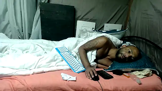 Camodick webcam