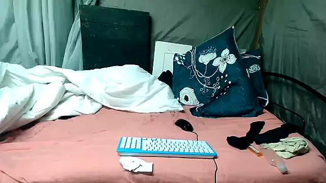 Camodick webcam