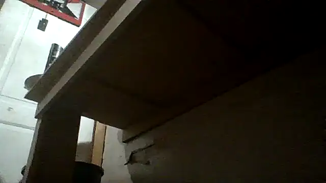oglong webcam