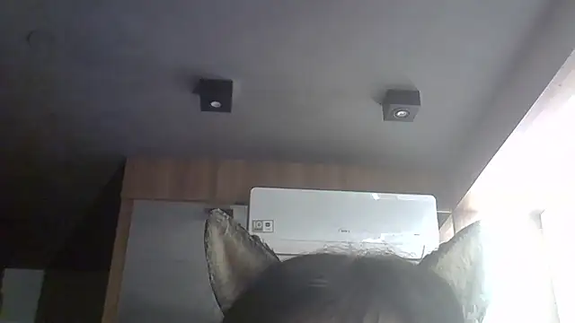 SkinnyKitten webcam