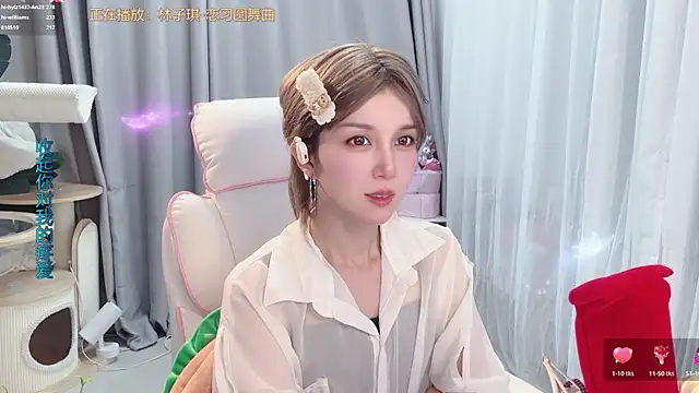 hi-AnAn webcam