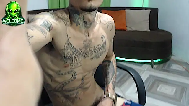 alpha_zom webcam