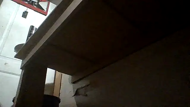 oglong webcam