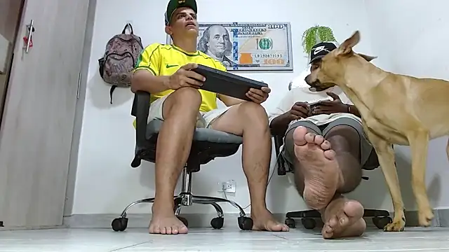 boss_of_cash webcam