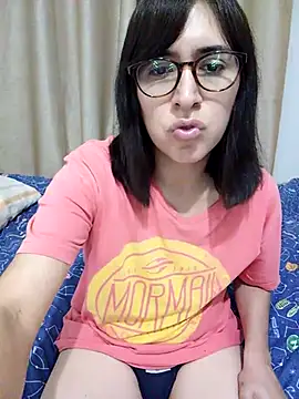 Eide-26 webcam