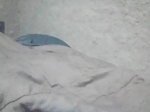 StarFlare20 webcam