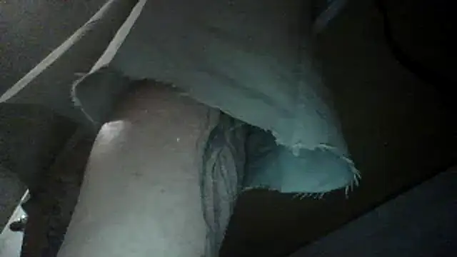 oglong webcam