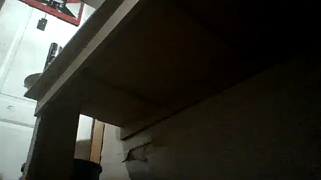 oglong webcam