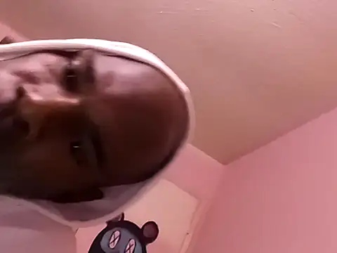 Blkstylion webcam