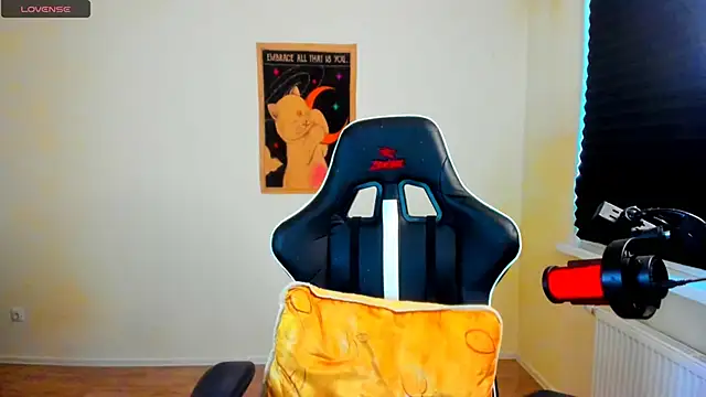 your_tora webcam