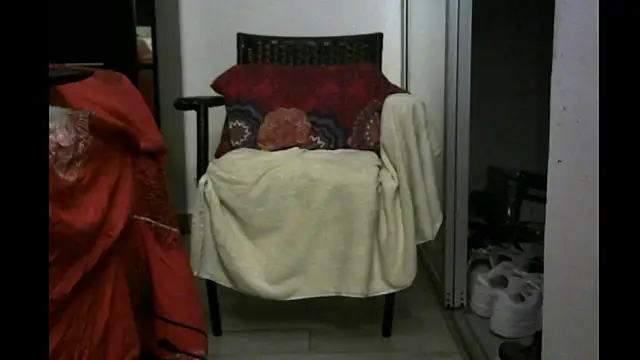 3LEGSSS webcam