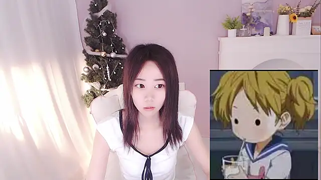 hall-33 webcam