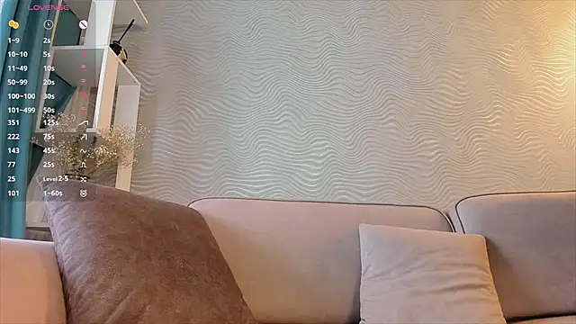 SageFrommer webcam