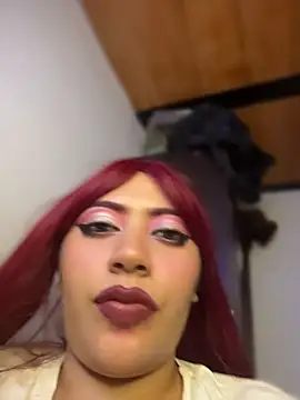 Erikaafox webcam
