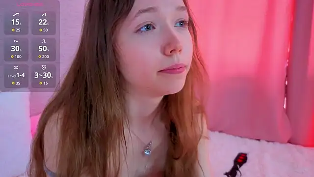 SugarTouch webcam