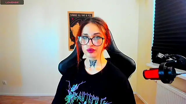 your_tora webcam