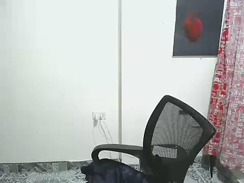 Came-II webcam