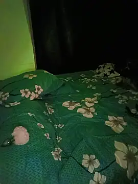 Missferret webcam