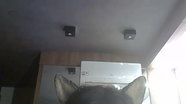 SkinnyKitten webcam