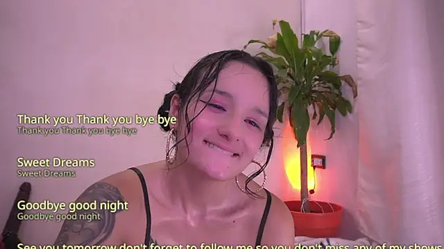Sisirojas webcam