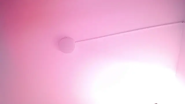 salomecastro_ webcam