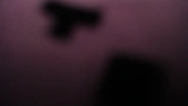 salomecastro_