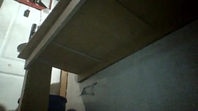 oglong webcam