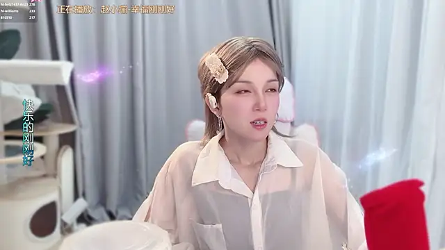 hi-AnAn webcam
