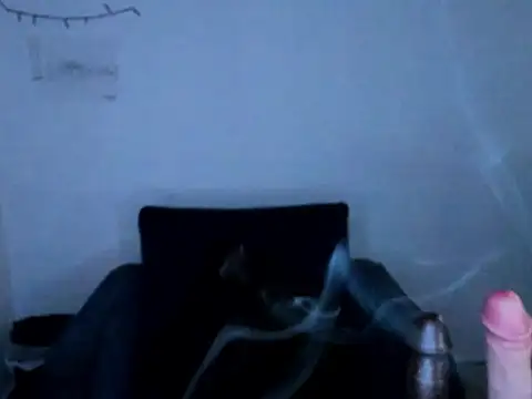 Babe-sofi webcam