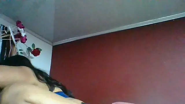DianaOchoa_ webcam