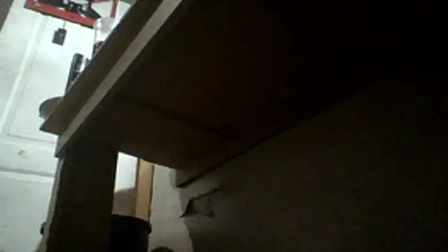 oglong webcam