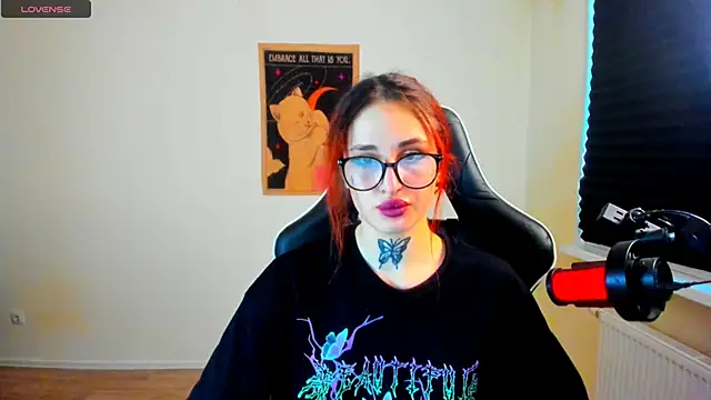 your_tora webcam