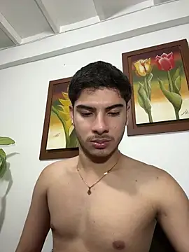 ApoloGray__ webcam