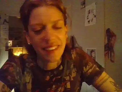 plsmecha webcam