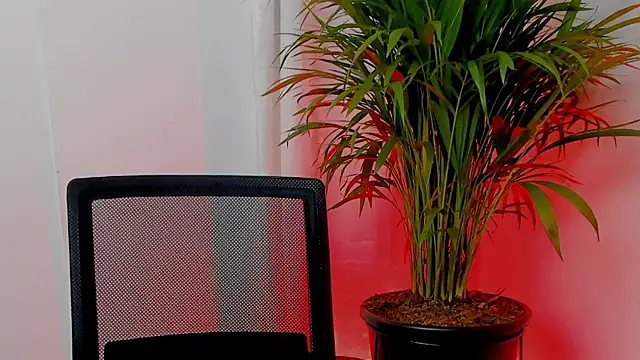 SarahRouge webcam