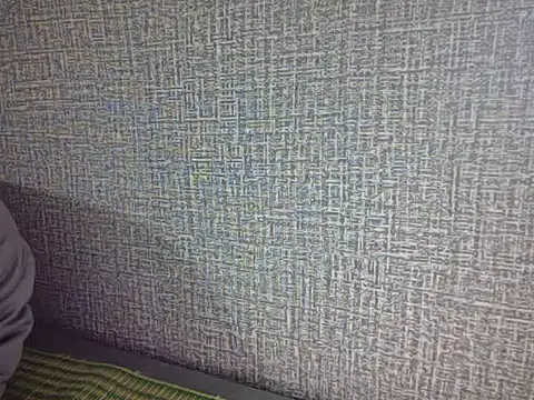 Ly-ny webcam