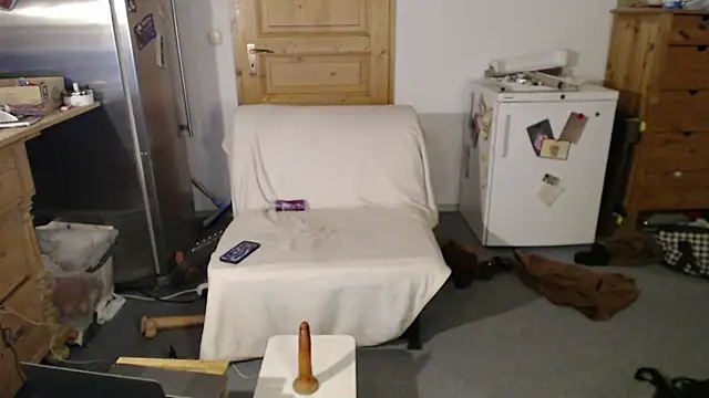 ToyRider69_official webcam